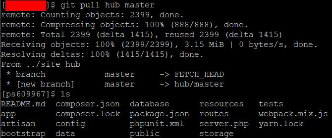 Running git pull
